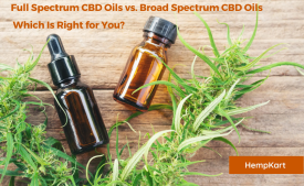 Full Spectrum CBD Oils vs. Broad Spectrum CBD Oils: Which Is Right for You?