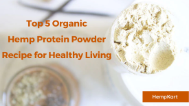Top 5 Organic Hemp Protein Powder Recipe for Healthy Living 